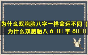 为什么双胞胎八字一样命运不同（为什么双胞胎八 🐟 字 🐝 一样命运不同的原因）